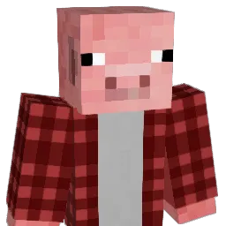 1i1L33 Minecraft avatar bust
