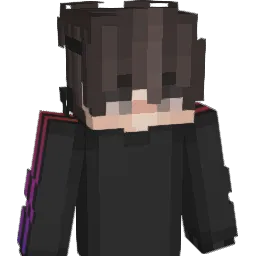 1iHASON_ Minecraft avatar bust