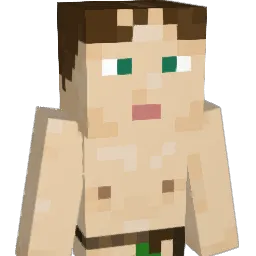 1ile8techo Minecraft avatar bust
