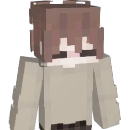 1io_HAX_oi1 Minecraft avatar bust