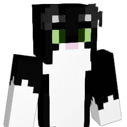 1katttt Minecraft avatar bust