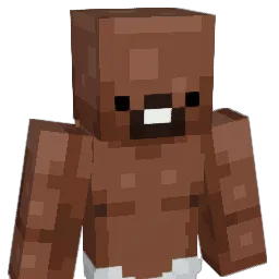 1mFr0de Minecraft avatar bust