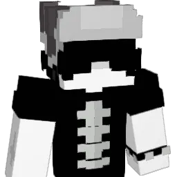 1mallang1 Minecraft avatar bust
