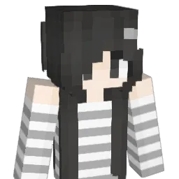 1poland Minecraft avatar bust
