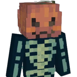1re Minecraft avatar bust