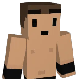1rxy Minecraft avatar bust
