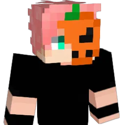 1state Minecraft avatar bust