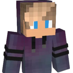 1tom1_ Minecraft avatar bust