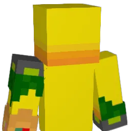 1verkan1ver Minecraft avatar bust