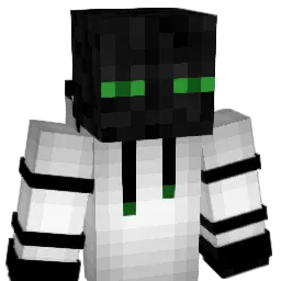 1walterjac22 Minecraft avatar bust