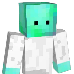 1x333_ Minecraft avatar bust