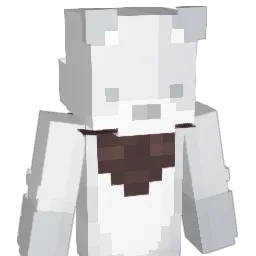 1xSilver's Minecraft skin