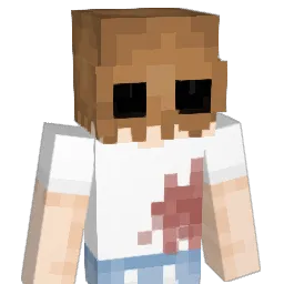 1xnamhy1 Minecraft avatar bust