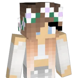 200IQQ Minecraft avatar bust