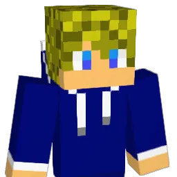 20Gilli11 Minecraft avatar bust