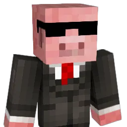 210Ignaz Minecraft avatar bust