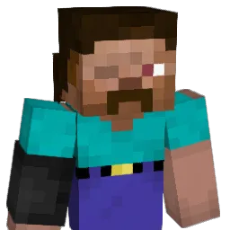 21D1 Minecraft avatar bust