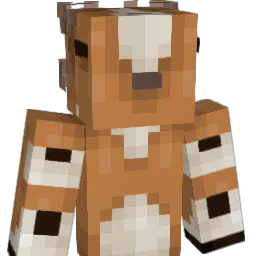 zihaan's skin