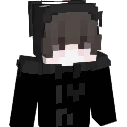 2222222222222222 Minecraft avatar bust