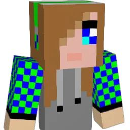 224468 Minecraft avatar bust