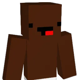 22v1 Minecraft avatar bust