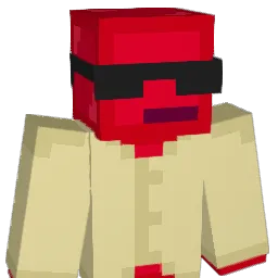 22wq11 Minecraft avatar bust