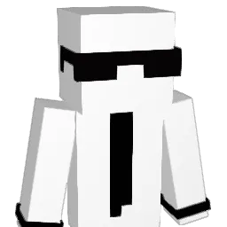 22wy Minecraft avatar bust