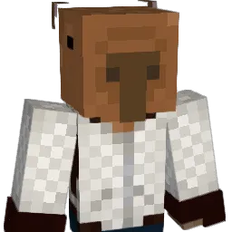 235GI0 Minecraft avatar bust