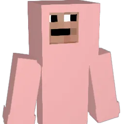 242343 Minecraft avatar bust