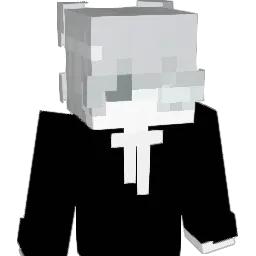24sz Minecraft avatar bust