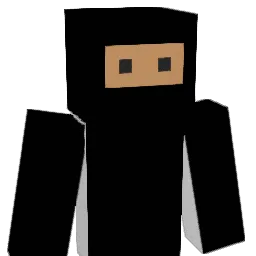 250Brickbuilder Minecraft avatar bust