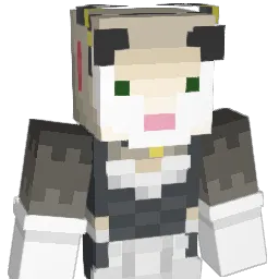 250MB Minecraft avatar bust
