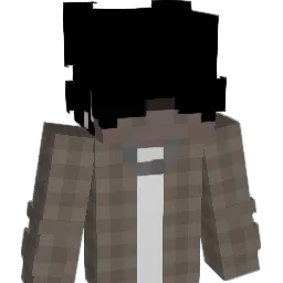 250hz Minecraft avatar bust