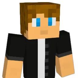 261311 Minecraft avatar bust