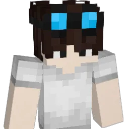 275HzDom Minecraft avatar bust