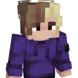 27K179 Minecraft avatar bust