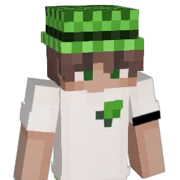 _Justin_27's skin