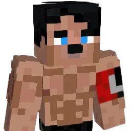 28jn Minecraft avatar bust