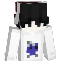 29_C1 Minecraft avatar bust