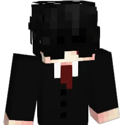 29ping