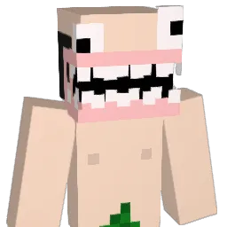 2O25 Minecraft avatar bust