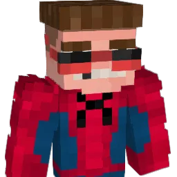 2O4O Minecraft avatar bust
