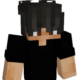 2O85 Minecraft avatar bust
