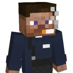 2VS93100 Minecraft avatar bust