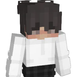 2_LorD Minecraft avatar bust