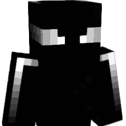 Feleleleee's skin