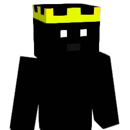 WolheoXIV's skin