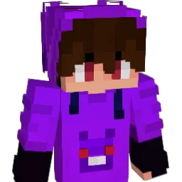 Dingify's skin