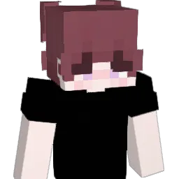 2lis