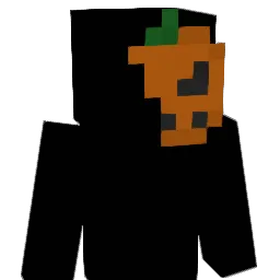 2nine_ Minecraft avatar bust